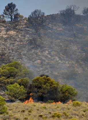 A view of a burnt area affected by wildfires in Bedar and Los Gallardos, near Almeria, Spain, Saturday, July 11, 2026 Vista de una zona quemada afectada por incendios forestales en Bedar y Los Gallardos, cerca de Almería, Espana, sábado 11 de julio de 2026 900 LOF Cordon Press Cordon Press  LOF - Spain Wildfire
