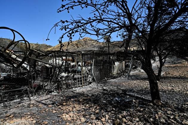 A view of a burnt area affected by wildfires in Bedar and Los Gallardos, near Almeria, Spain, Saturday, July 11, 2026 Vista de una zona quemada afectada por incendios forestales en Bedar y Los Gallardos, cerca de Almería, Espana, sábado 11 de julio de 2026 900 LOF Cordon Press Cordon Press  LOF - Spain Wildfire
