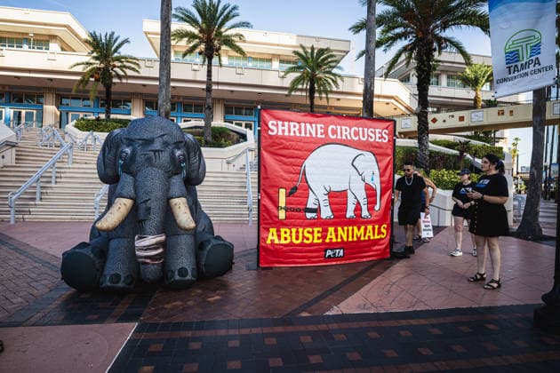 July 11, 2026, Tampa, Florida, USA: Members of the animal rights group PETA rally to call on the SHRINERS organization to ban itÃ¢â‚¬â ¢s member clubs from hosting old-style circuses which use live animals as part of the act at the Tampa Convention Center located in downtown Tampa. Tampa USA - ZUMAd256 20260711_znp_d256_001 Copyright: xDavexDeckerx