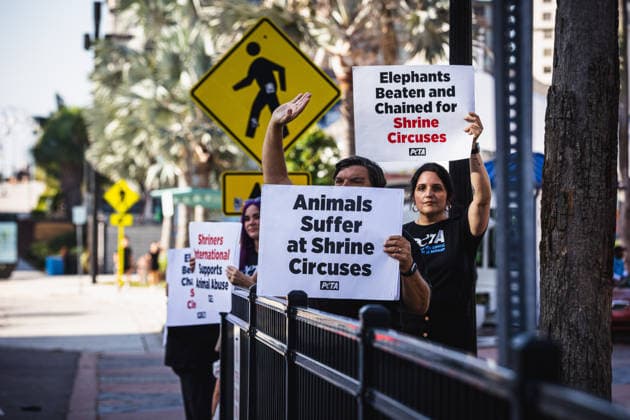 July 11, 2026, Tampa, Florida, USA: Members of the animal rights group PETA rally to call on the SHRINERS organization to ban itÃ¢â‚¬â ¢s member clubs from hosting old-style circuses which use live animals as part of the act at the Tampa Convention Center located in downtown Tampa. Tampa USA - ZUMAd256 20260711_znp_d256_003 Copyright: xDavexDeckerx