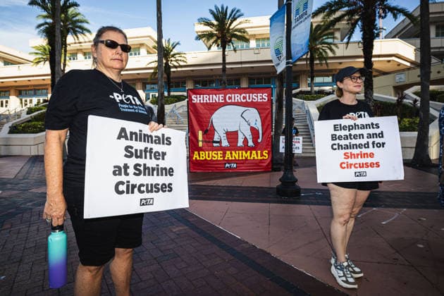 July 11, 2026, Tampa, Florida, USA: Members of the animal rights group PETA rally to call on the SHRINERS organization to ban itÃ¢â‚¬â ¢s member clubs from hosting old-style circuses which use live animals as part of the act at the Tampa Convention Center located in downtown Tampa. Tampa USA - ZUMAd256 20260711_znp_d256_008 Copyright: xDavexDeckerx