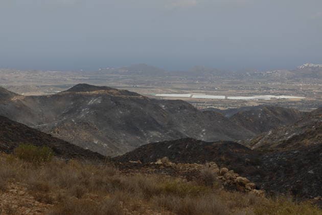 Deadly wildfire scorches Almeria province in Spain LOS GALLARDOS, SPAIN - JULY 11: Emergency operations continue near Bedar as security forces restrict access to the wildfire-affected area and direct local residents away from danger in Almeria province, Spain, on July 11, 2026. Firefighters, supported by helicopters and other emergency teams, carry out containment, surveillance and recovery operations across the burned landscape, while roads leading toward the fire zone remain under security control. Improved weather conditions helped crews gain the upper hand over the blaze and intensify efforts to prevent it from spreading further. The wildfire killed at least 12 people and burned about 6,600 hectares of forest, farmland and surrounding r  Copyright: x2026xAnadoluxPabloxMiranzox