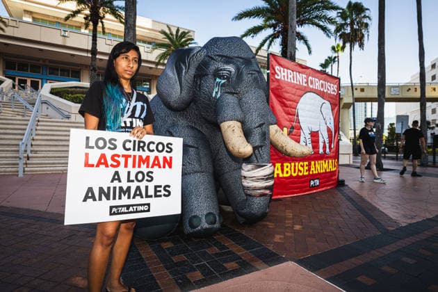 July 11, 2026, Tampa, Florida, USA: Members of the animal rights group PETA rally to call on the SHRINERS organization to ban itÃ¢â‚¬â ¢s member clubs from hosting old-style circuses which use live animals as part of the act at the Tampa Convention Center located in downtown Tampa. Tampa USA - ZUMAd256 20260711_znp_d256_011 Copyright: xDavexDeckerx
