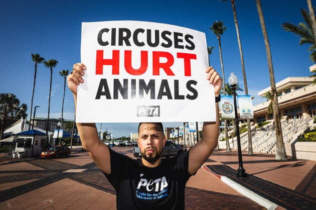 July 11, 2026, Tampa, Florida, USA: Members of the animal rights group PETA rally to call on the SHRINERS organization to ban itÃ¢â‚¬â ¢s member clubs from hosting old-style circuses which use live animals as part of the act at the Tampa Convention Center located in downtown Tampa. Tampa USA - ZUMAd256 20260711_znp_d256_012 Copyright: xDavexDeckerx