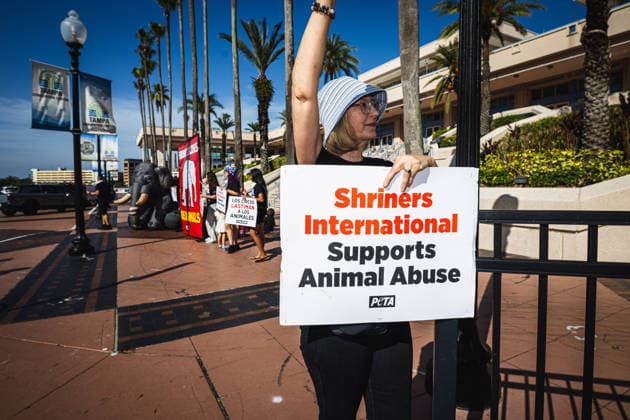 July 11, 2026, Tampa, Florida, USA: Members of the animal rights group PETA rally to call on the SHRINERS organization to ban itÃ¢â‚¬â ¢s member clubs from hosting old-style circuses which use live animals as part of the act at the Tampa Convention Center located in downtown Tampa. Tampa USA - ZUMAd256 20260711_znp_d256_015 Copyright: xDavexDeckerx