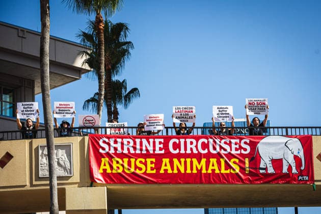 July 11, 2026, Tampa, Florida, USA: Members of the animal rights group PETA rally to call on the SHRINERS organization to ban itÃ¢â‚¬â ¢s member clubs from hosting old-style circuses which use live animals as part of the act at the Tampa Convention Center located in downtown Tampa. Tampa USA - ZUMAd256 20260711_znp_d256_032 Copyright: xDavexDeckerx