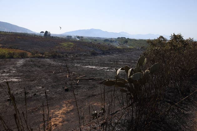 Wildfires continue on the Italian island of Sicily PALERMO, ITALY - JULY 11: Italian firefighters battle a wildfire that broke out in a maquis-shrubland area near the Partinico municipality of Palermo in Sicily, Italy on July 11, 2026. Firefighting teams intervened with ground crews, water-discharging aircraft, and helicopters to bring the blaze under control. Alberto Lo Bianco Anadolu Palermo Italy. Editorial use only. Please get in touch for any other usage.  Copyright: x2026xAnadoluxAlbertoxLoxBiancox