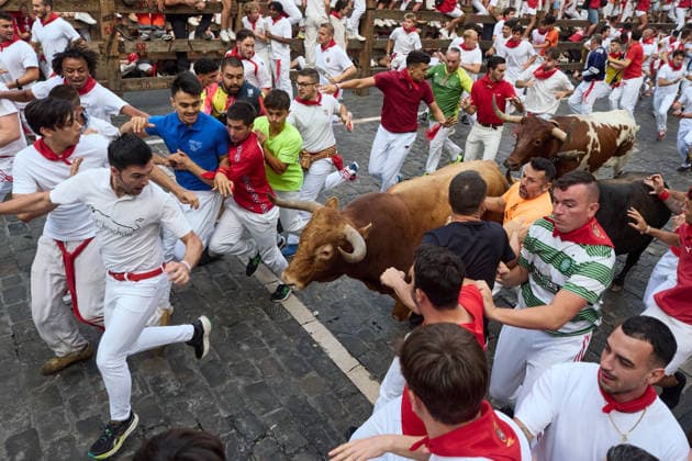 The sixth running of the bulls during the 2026 San Fermín Festival, featuring bulls from the La Palmosilla ranch, will take place on July 12, 2026, in Pamplona, Navarre, Spain. This year, bulls from the La Palmosilla ranch will headline the sixth running of the San Fermín Festival in Spain.  Copyright: xEduardoxSanzx 7660343