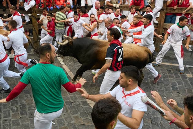 The sixth running of the bulls during the 2026 San Fermín Festival, featuring bulls from the La Palmosilla ranch, will take place on July 12, 2026, in Pamplona, Navarre, Spain. This year, bulls from the La Palmosilla ranch will headline the sixth running of the San Fermín Festival in Spain.  Copyright: xEduardoxSanzx 7660344