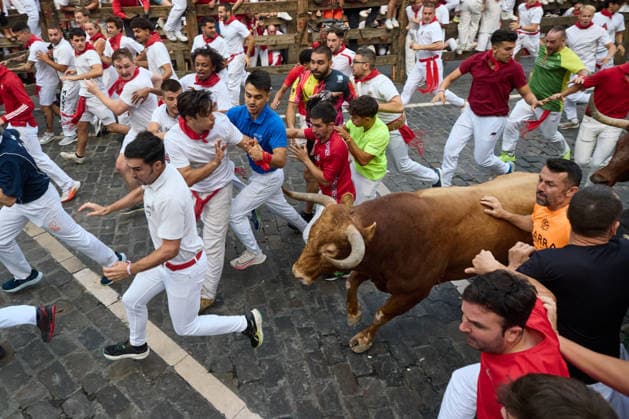 News Bilder des Tages The sixth running of the bulls during the 2026 San Fermín Festival, featuring bulls from the La Palmosilla ranch, will take place on July 12, 2026, in Pamplona, Navarre, Spain. This year, bulls from the La Palmosilla ranch will headline the sixth running of the San Fermín Festival in Spain.  Copyright: xEduardoxSanzx 7660357