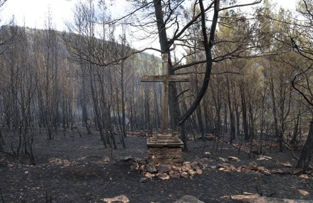 The morning after a major wildfire breaks out on Korcula Island between Smokvica and Blato The morning after a major wildfire breaks out on Korcula Island. When the rain stopped, the extent of the big fire came to light. Firefighters on the ground, with the help of the air force, repair the fires wherever possible. Burnt olive groves, vineyards, orchards and farmhouses are frightening scenes on the island of Korcula, Croatia, on July 12 2026.  IvoxCagalj PIXSELL