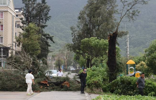China Typhoon Bavi Aftermath A fallen tree blocks a road after Typhoon Bavi passed in Wenling in eastern China s Zhejiang province, Sunday, July 12, 2026., Credit:JIN YUNGUO Utuku Feature China Avalon CHINA, ZHEJIANG, WENLING  Copyright: xJINxYUNGUOx xUtuku FeaturexChinax xAvalonx 1116140089
