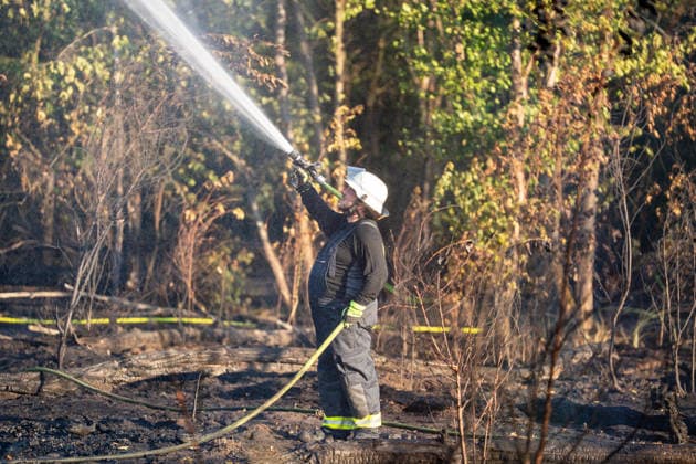 Waldbrand breitet sich schnell aus - Zahlreiche Feuerwehren im Einsatz - Flughafen Frankfurt in der Nähe Am Sonntagnachmittag, 12.07.2026, wurde die Feuerwehr Mörfelden-Walldorf unweit des Flughafen Frankfurt zu einem Waldbrand alarmiert. Die Flammen breiteten sich rasend schnell aus und erreichten auch die Baumwipfel. Betroffen war eine Fläche von 40.000 Quadratmetern, auf der es insgesamt fünf Brandstellen unterschiedlicher Größe gab. Feuerwehren aus der gesamten Umgebung wurden zur Unterstützung zusammengezogen. Am Abend konnte die Ausbreitung gestoppt werden. Einige Bereiche konnte nicht betreten werden, da hier noch alte Munition im Boden vermutet wird. Die Löscharbeiten der Feuerwehr dauerten noch bis tief in die Nacht. Mörfe