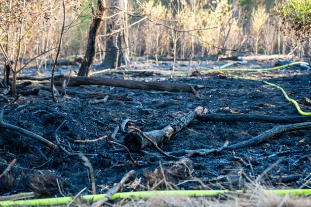 Waldbrand breitet sich schnell aus - Zahlreiche Feuerwehren im Einsatz - Flughafen Frankfurt in der Nähe Am Sonntagnachmittag, 12.07.2026, wurde die Feuerwehr Mörfelden-Walldorf unweit des Flughafen Frankfurt zu einem Waldbrand alarmiert. Die Flammen breiteten sich rasend schnell aus und erreichten auch die Baumwipfel. Betroffen war eine Fläche von 40.000 Quadratmetern, auf der es insgesamt fünf Brandstellen unterschiedlicher Größe gab. Feuerwehren aus der gesamten Umgebung wurden zur Unterstützung zusammengezogen. Am Abend konnte die Ausbreitung gestoppt werden. Einige Bereiche konnte nicht betreten werden, da hier noch alte Munition im Boden vermutet wird. Die Löscharbeiten der Feuerwehr dauerten noch bis tief in die Nacht. Mörfe