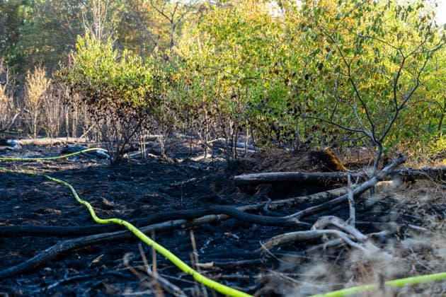 Waldbrand breitet sich schnell aus - Zahlreiche Feuerwehren im Einsatz - Flughafen Frankfurt in der Nähe Am Sonntagnachmittag, 12.07.2026, wurde die Feuerwehr Mörfelden-Walldorf unweit des Flughafen Frankfurt zu einem Waldbrand alarmiert. Die Flammen breiteten sich rasend schnell aus und erreichten auch die Baumwipfel. Betroffen war eine Fläche von 40.000 Quadratmetern, auf der es insgesamt fünf Brandstellen unterschiedlicher Größe gab. Feuerwehren aus der gesamten Umgebung wurden zur Unterstützung zusammengezogen. Am Abend konnte die Ausbreitung gestoppt werden. Einige Bereiche konnte nicht betreten werden, da hier noch alte Munition im Boden vermutet wird. Die Löscharbeiten der Feuerwehr dauerten noch bis tief in die Nacht. Mörfe