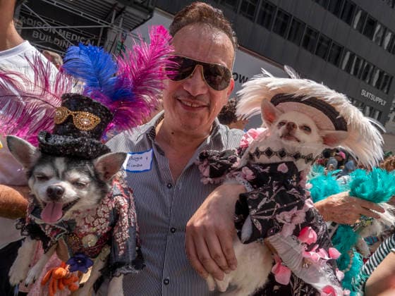 July 12, 2026, New York, New York, USA: Anthony Rubio the Pet Couturier with Bogie and Kimba at New York City s largest public Bastille Day celebration hosted by.L Alliance New York took place on Madison Ave with a massive block.party with gourmet and lifestyle vendors, classic Citroens, a dog parade and a .monumental street Goose Game. New York USA - ZUMAh156 20260712_znp_h156_004 Copyright: xMiloxHessx