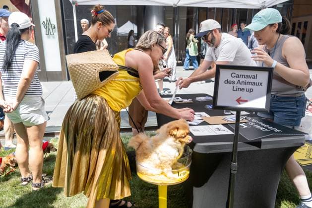 RECORD DATE NOT STATED People celebrate Bastille Day in New York (NEW) People celebrate Bastille Day in New York. July 12, 2026, New York, New York, USA: A woman registers to dog parade during the annual Bastille Day celebration on Madison Avenue, on July 12, 2026 in New York City. (Credit: M10s TheNews2)(Foto: M10S Thenews2 imago images) People celebrate Bastille Day in New York  Copyright: xM10sx