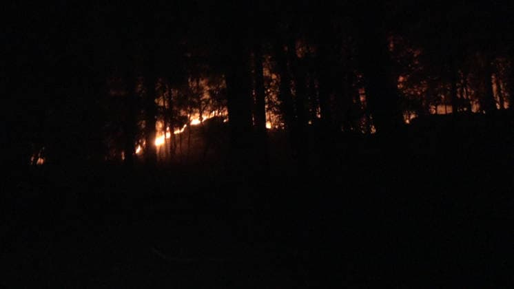 Firefighters Battle Exceptional Wildfire In Fontainebleau Forest - Le Vaudoue Firefighters battle an exceptionally large wildfire in the Fontainebleau Forest near the A6 motorway in Le Vaudoue, Seine-et-Marne, France on July 13, 2026, as more than 370 firefighters and 130 vehicles from the SDIS77 fire service work to contain multiple blazes described as very virulent, with two water-bombing aircraft dispatched as reinforcements from southern France, and several road diversions put in place on the A6 motorway. Photo by CLPress ABACAPRESS.COM Le Vaudoue France  Copyright: xCLPRESS ABACAx