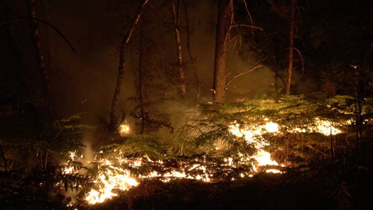 Firefighters Battle Exceptional Wildfire In Fontainebleau Forest - Le Vaudoue Firefighters battle an exceptionally large wildfire in the Fontainebleau Forest near the A6 motorway in Le Vaudoue, Seine-et-Marne, France on July 13, 2026, as more than 370 firefighters and 130 vehicles from the SDIS77 fire service work to contain multiple blazes described as very virulent, with two water-bombing aircraft dispatched as reinforcements from southern France, and several road diversions put in place on the A6 motorway. Photo by CLPress ABACAPRESS.COM Le Vaudoue France  Copyright: xCLPRESS ABACAx