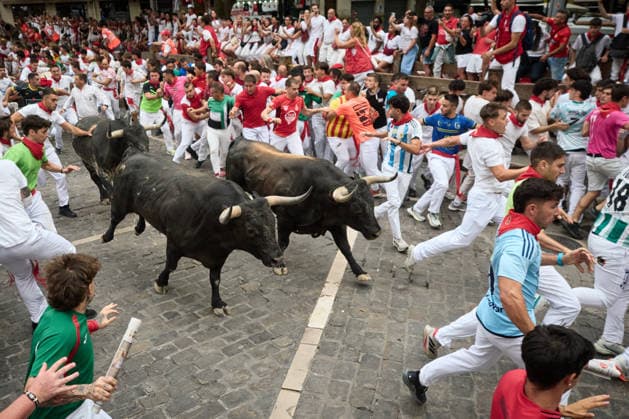 Seventh bull run of the 2026 San Fermín Festival, featuring bulls from the Miura ranch. The seventh bull run of the 2026 San Fermín Festival took place on July 13, 2026, in Pamplona, Navarre, Spain. On this occasion, the seventh running of the bulls during the San Fermín festival featured bulls from the Miura ranch in Spain  Copyright: xEduardoxSanzx 7661287