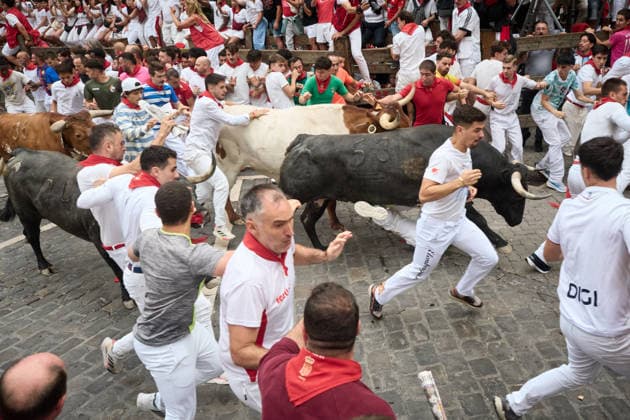 Seventh bull run of the 2026 San Fermín Festival, featuring bulls from the Miura ranch. The seventh bull run of the 2026 San Fermín Festival took place on July 13, 2026, in Pamplona, Navarre, Spain. On this occasion, the seventh running of the bulls during the San Fermín festival featured bulls from the Miura ranch in Spain  Copyright: xEduardoxSanzx 7661302