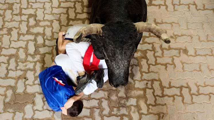 Pamplona. Navarra. 13 julio 2026. Fiestas. Sanfermines. Encierro SÃ ptimo encierro de San Fermin 2026 con toros de la ganaderia de Miura en el tramo del callejon y entrada a la plaza, en Pamplona a 13 de julio de 2026. CrÃ dito: Inigo Alzugaray Cordon Press Cordon Press 