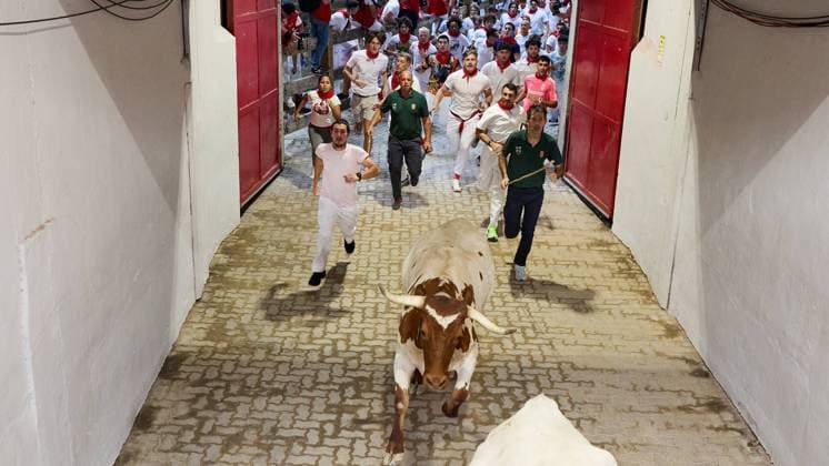 Pamplona. Navarra. 13 julio 2026. Fiestas. Sanfermines. Encierro SÃ ptimo encierro de San Fermin 2026 con toros de la ganaderia de Miura en el tramo del callejon y entrada a la plaza, en Pamplona a 13 de julio de 2026. CrÃ dito: Inigo Alzugaray Cordon Press Cordon Press 