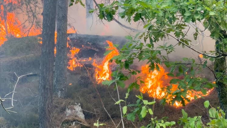 Firefighters Battle Ongoing Exceptional Wildfire In Fontainebleau Forest - Le Vaudoue Firefighters continue to battle an exceptionally large and ongoing wildfire in the Fontainebleau Forest in the area surrounding Le Vaudoue, Seine-et-Marne, France on July 13, 2026, causing significant damage as more than 370 firefighters and 130 vehicles from the SDIS77 fire service remain mobilized to contain multiple blazes described as very virulent, with two DASH water-bombing aircraft dispatched as reinforcements from southern France and several road diversions put in place on the A6 motorway. Videograbs by CLPress ABACAPRESS.COM Le Vaudoue France  Copyright: xCLPRESS ABACAx(WorldxRightsxOfficial)x