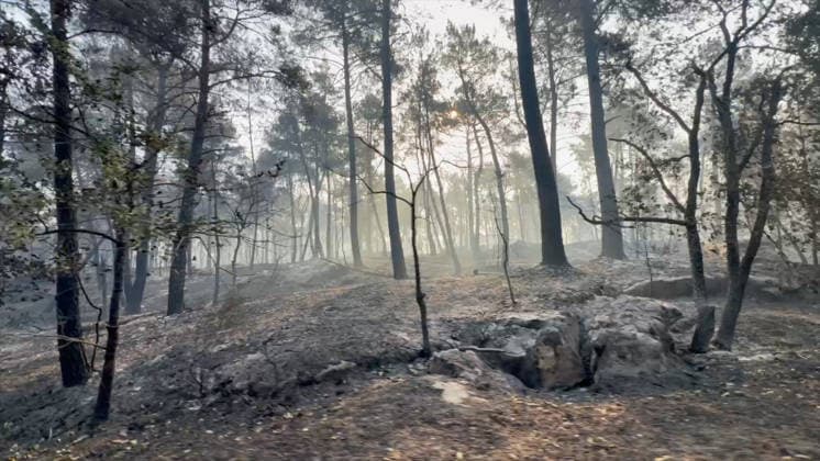 Firefighters Battle Ongoing Exceptional Wildfire In Fontainebleau Forest - Le Vaudoue Firefighters continue to battle an exceptionally large and ongoing wildfire in the Fontainebleau Forest in the area surrounding Le Vaudoue, Seine-et-Marne, France on July 13, 2026, causing significant damage as more than 370 firefighters and 130 vehicles from the SDIS77 fire service remain mobilized to contain multiple blazes described as very virulent, with two DASH water-bombing aircraft dispatched as reinforcements from southern France and several road diversions put in place on the A6 motorway. Videograbs by CLPress ABACAPRESS.COM Le Vaudoue France  Copyright: xCLPRESS ABACAx(WorldxRightsxOfficial)x