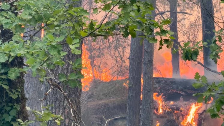Firefighters Battle Ongoing Exceptional Wildfire In Fontainebleau Forest - Le Vaudoue Firefighters continue to battle an exceptionally large and ongoing wildfire in the Fontainebleau Forest in the area surrounding Le Vaudoue, Seine-et-Marne, France on July 13, 2026, causing significant damage as more than 370 firefighters and 130 vehicles from the SDIS77 fire service remain mobilized to contain multiple blazes described as very virulent, with two DASH water-bombing aircraft dispatched as reinforcements from southern France and several road diversions put in place on the A6 motorway. Videograbs by CLPress ABACAPRESS.COM Le Vaudoue France  Copyright: xCLPRESS ABACAx(WorldxRightsxOfficial)x