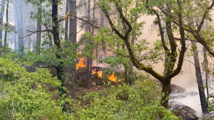 Firefighters Battle Ongoing Exceptional Wildfire In Fontainebleau Forest - Le Vaudoue Firefighters continue to battle an exceptionally large and ongoing wildfire in the Fontainebleau Forest in the area surrounding Le Vaudoue, Seine-et-Marne, France on July 13, 2026, causing significant damage as more than 370 firefighters and 130 vehicles from the SDIS77 fire service remain mobilized to contain multiple blazes described as very virulent, with two DASH water-bombing aircraft dispatched as reinforcements from southern France and several road diversions put in place on the A6 motorway. Videograbs by CLPress ABACAPRESS.COM Le Vaudoue France  Copyright: xCLPRESS ABACAx(WorldxRightsxOfficial)x
