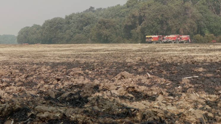 Firefighters Battle Ongoing Exceptional Wildfire In Fontainebleau Forest - Le Vaudoue Firefighters continue to battle an exceptionally large and ongoing wildfire in the Fontainebleau Forest in the area surrounding Le Vaudoue, Seine-et-Marne, France on July 13, 2026, causing significant damage as more than 370 firefighters and 130 vehicles from the SDIS77 fire service remain mobilized to contain multiple blazes described as very virulent, with two DASH water-bombing aircraft dispatched as reinforcements from southern France and several road diversions put in place on the A6 motorway. Videograbs by CLPress ABACAPRESS.COM Le Vaudoue France  Copyright: xCLPRESS ABACAx(WorldxRightsxOfficial)x