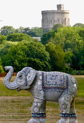 Trunks Across The Thames Your Majesty in Windsor Great Park. Trunks across the Thames is Thames Hospice™s very first art trail which will see businesses, schools, community groups and artists unite to create a free, fun, family-friendly trail of discovery for the local community to explore and enjoy. The majestic herd will be marching between 13th July to 13th September 2026! The herd of individually designed magnificent elephant sculptures will bring vibrancy, colour and creative artistry, transforming the streets, parks and open spaces of Slough, Eton and Windsor into a glorious open-air gallery., Credit:Geoffrey Swaine Geoff Swaine - B4563 Avalon UK, Berkshire, Windsor  Copyright: xGeoffreyxSwainex xGeoffxSwainex-xB4563x xAvalonx 1116315334