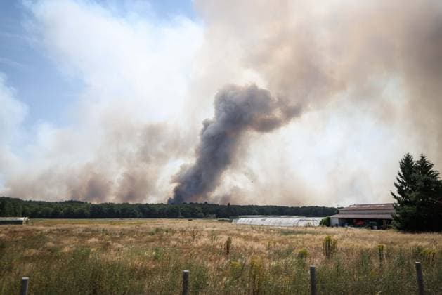 Fontainebleau, France le 13 juillet 2026 - Illustrations de l incendie qui a debute ce dimanche en foret de Fontainebleau - Illustrations of the fire that started this Sunday in the Fontainebleau forest  Copyright: xSebastienxTOUBONx