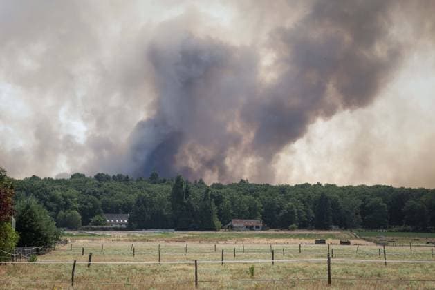 Fontainebleau, France le 13 juillet 2026 - Illustrations de l incendie qui a debute ce dimanche en foret de Fontainebleau - Illustrations of the fire that started this Sunday in the Fontainebleau forest  Copyright: xSebastienxTOUBONx