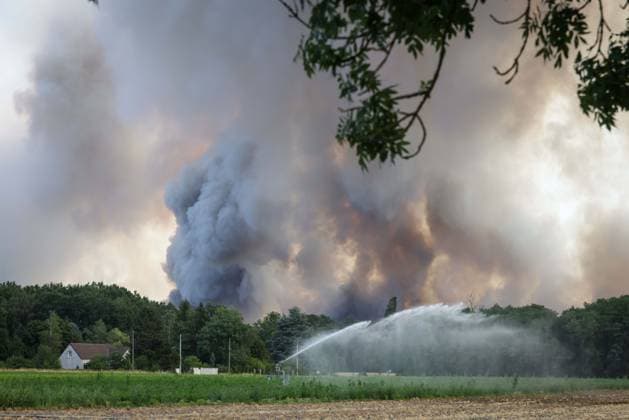 Fontainebleau, France le 13 juillet 2026 - Illustrations de l incendie qui a debute ce dimanche en foret de Fontainebleau - Illustrations of the fire that started this Sunday in the Fontainebleau forest  Copyright: xSebastienxTOUBONx