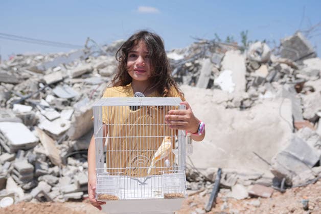 News Themen der Woche KW29 News Bilder des Tages Israel demolishes Palestinian home in the West Bank SALFIT, WEST BANK, PALESTINE - JULY 13: A girl holds a bird cage in front of debris as Israeli forces demolish the home of Palestinian Hasan al-Rinawi with a bulldozer and heavy machinery alleging it was built without a permit in the village of Kufr al Dik, west of Salfit in the West Bank, Palestine, on July 13, 2026. Issam Rimawi Anadolu Salfit West Bank. Editorial use only. Please get in touch for any other usage.  Copyright: x2026xAnadoluxIssamxRimawix