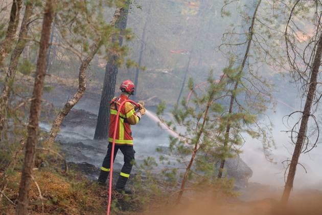 FONTAINEBLEAU FIRE PHOTOPQR LE PARISIEN Le Parisien Arnaud Journois FONTAINEBLEAU July 13, 2026 Fontainebleau Forest, Seine-et-Marne, on July 13, 2026 Fire in the Fontainebleau Forest Photo: Le Parisien, Arnaud Journois, Fontainebleau, France, July 13, 2026. The Fontainebleau Forest is on fire, south of Paris. FONTAINEBLEAU, France  Copyright: xPHOTOPQR LExPARISIEN MAXPPPxLexParisienx xArnaudxJournoisx 20260713LPA4407 20260713LPA4407