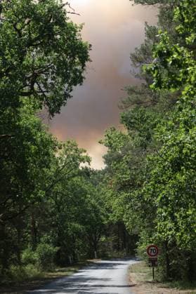 FONTAINEBLEAU FIRE PHOTOPQR LE PARISIEN Le Parisien Arnaud Journois FONTAINEBLEAU July 13, 2026 Fontainebleau Forest, Seine-et-Marne, on July 13, 2026 Fire in the Fontainebleau Forest Photo: Le Parisien, Arnaud Journois, Fontainebleau, France, July 13, 2026. The Fontainebleau Forest is on fire, south of Paris. FONTAINEBLEAU, France  Copyright: xPHOTOPQR LExPARISIEN MAXPPPxLexParisienx xArnaudxJournoisx 20260713LPA4409 20260713LPA4409