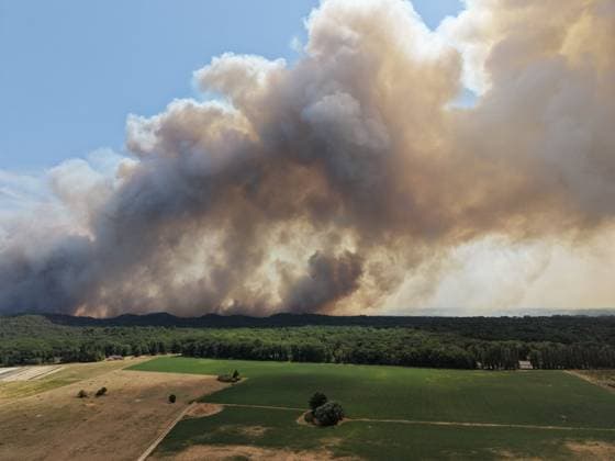 FONTAINEBLEAU FIRE PHOTOPQR LE PARISIEN Le Parisien Arnaud Journois FONTAINEBLEAU July 13, 2026 Fontainebleau Forest, Seine-et-Marne, on July 13, 2026 Fire in the Fontainebleau Forest Photo: Le Parisien, Arnaud Journois, Fontainebleau, France, July 13, 2026. The Fontainebleau Forest is on fire, south of Paris. FONTAINEBLEAU, France  Copyright: xPHOTOPQR LExPARISIEN MAXPPPxLexParisienx xArnaudxJournoisx 20260713LPA4412 20260713LPA4412