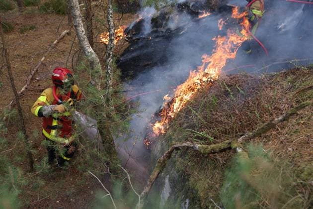 FONTAINEBLEAU FIRE PHOTOPQR LE PARISIEN Le Parisien Arnaud Journois FONTAINEBLEAU July 13, 2026 Fontainebleau Forest, Seine-et-Marne, on July 13, 2026 Fire in the Fontainebleau Forest Photo: Le Parisien, Arnaud Journois, Fontainebleau, France, July 13, 2026. The Fontainebleau Forest is on fire, south of Paris. FONTAINEBLEAU, France  Copyright: xPHOTOPQR LExPARISIEN MAXPPPxLexParisienx xArnaudxJournoisx 20260713LPA4414 20260713LPA4414