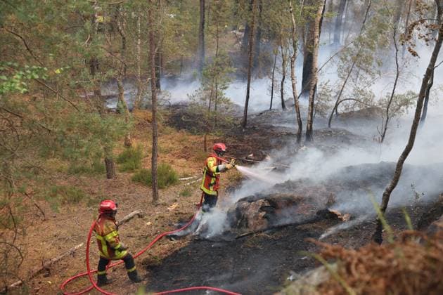 FONTAINEBLEAU FIRE PHOTOPQR LE PARISIEN Le Parisien Arnaud Journois FONTAINEBLEAU July 13, 2026 Fontainebleau Forest, Seine-et-Marne, on July 13, 2026 Fire in the Fontainebleau Forest Photo: Le Parisien, Arnaud Journois, Fontainebleau, France, July 13, 2026. The Fontainebleau Forest is on fire, south of Paris. FONTAINEBLEAU, France  Copyright: xPHOTOPQR LExPARISIEN MAXPPPxLexParisienx xArnaudxJournoisx 20260713LPA4417 20260713LPA4417