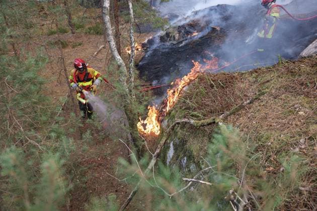 FONTAINEBLEAU FIRE PHOTOPQR LE PARISIEN Le Parisien Arnaud Journois FONTAINEBLEAU July 13, 2026 Fontainebleau Forest, Seine-et-Marne, on July 13, 2026 Fire in the Fontainebleau Forest Photo: Le Parisien, Arnaud Journois, Fontainebleau, France, July 13, 2026. The Fontainebleau Forest is on fire, south of Paris. FONTAINEBLEAU, France  Copyright: xPHOTOPQR LExPARISIEN MAXPPPxLexParisienx xArnaudxJournoisx 20260713LPA4418 20260713LPA4418