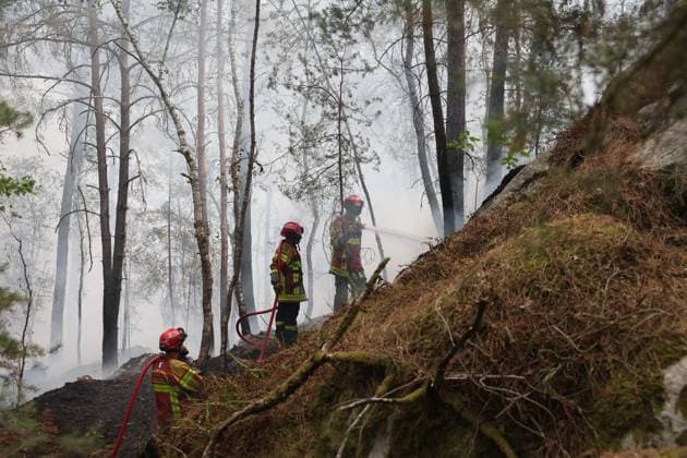 FONTAINEBLEAU FIRE PHOTOPQR LE PARISIEN Le Parisien Arnaud Journois FONTAINEBLEAU July 13, 2026 Fontainebleau Forest, Seine-et-Marne, on July 13, 2026 Fire in the Fontainebleau Forest Photo: Le Parisien, Arnaud Journois, Fontainebleau, France, July 13, 2026. The Fontainebleau Forest is on fire, south of Paris. FONTAINEBLEAU, France  Copyright: xPHOTOPQR LExPARISIEN MAXPPPxLexParisienx xArnaudxJournoisx 20260713LPA4423 20260713LPA4423