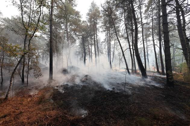 FONTAINEBLEAU FIRE PHOTOPQR LE PARISIEN Le Parisien Arnaud Journois FONTAINEBLEAU July 13, 2026 Fontainebleau Forest, Seine-et-Marne, on July 13, 2026 Fire in the Fontainebleau Forest Photo: Le Parisien, Arnaud Journois, Fontainebleau, France, July 13, 2026. The Fontainebleau Forest is on fire, south of Paris. FONTAINEBLEAU, France  Copyright: xPHOTOPQR LExPARISIEN MAXPPPxLexParisienx xArnaudxJournoisx 20260713LPA4426 20260713LPA4426