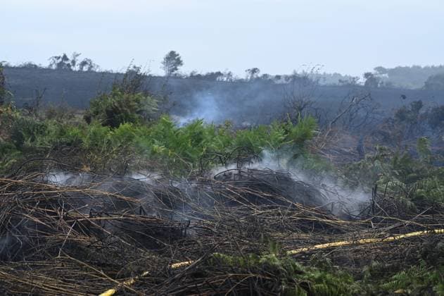 RECORD DATE NOT STATED FIRE AT CAP FRÉHEL SITE PHOTOPQR OUEST FRANCE Elsa Rancel Ouest France PAIMPOL Heath fire in the Cap Fréhel area, in Plévenon, Côtes-d Armor, July 13, 2026 Throughout the night from Sunday, July 12, to Monday, July 13, 2026, firefighters battled two heathland fires that broke out around 9:30 p.m., in the Cap Fréhel and Fort La Latte areas in Plévenon, Côtes d’Armor. A campground had to be evacuated, and the GR 34 trail is closed. Elsa Rancel, Ouest France, Plévenon, Brittany, France, July 13 Fires in Cap Fréhel, Paimpol, France  Copyright: xPHOTOPQR OUESTxFRANCE MAXPPPxElsaxRancelx xOuest-Francex 20260713OFR4579 20260713OFR4579