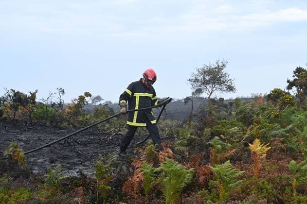 RECORD DATE NOT STATED FIRE AT CAP FRÉHEL SITE PHOTOPQR OUEST FRANCE Elsa Rancel Ouest France PAIMPOL Heath fire in the Cap Fréhel area, in Plévenon, Côtes-d Armor, July 13, 2026 Throughout the night from Sunday, July 12, to Monday, July 13, 2026, firefighters battled two heathland fires that broke out around 9:30 p.m., in the Cap Fréhel and Fort La Latte areas in Plévenon, Côtes d’Armor. A campground had to be evacuated, and the GR 34 trail is closed. Elsa Rancel, Ouest France, Plévenon, Brittany, France, July 13 Fires in Cap Fréhel, Paimpol, France  Copyright: xPHOTOPQR OUESTxFRANCE MAXPPPxElsaxRancelx xOuest-Francex 20260713OFR4588 20260713OFR4588