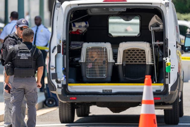 News Bilder des Tages July 13, 2026, Us Capitol, Dc, United States: US Capitol Police inspect a vehicle after a man with a gun and dog entered a restricted area in Washington, D.C. on July 13, 2026. The man and dog were taken into custody. Us Capitol United States - ZUMAl312 20260713_znp_l312_013 Copyright: xAndrewxLeydenx