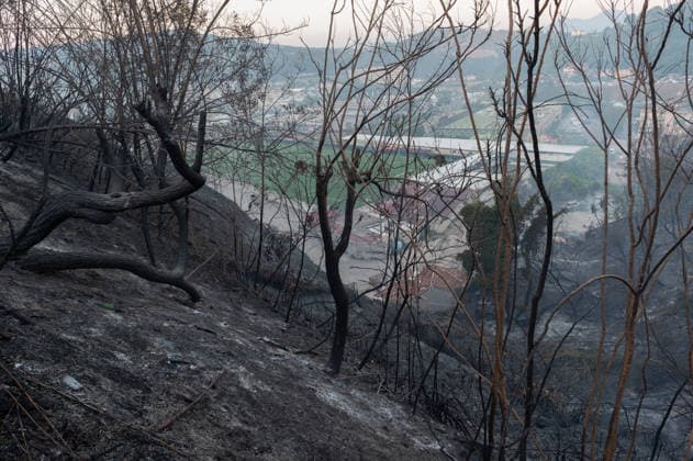 Wildfire erupts near Campi Flegrei volcanic area in Italy POZZUOLI, ITALY - JULY 13: A view of burnt trees as smoke rises from a big wildfire in the Pisciarelli area located on the outer edge of the Solfatara volcanic crater in the Campi Flegrei (Phlegraean Fields) volcanic region in Pozzuoli on July 13, 2026. The fire broke out in the undergrowth and quickly spread to several car dealerships, causing fuel tanks and tyres to explode. Eliano Imperato Anadolu Pozzuoli Italy. Editorial use only. Please get in touch for any other usage.  Copyright: x2026xAnadoluxElianoxImperatox