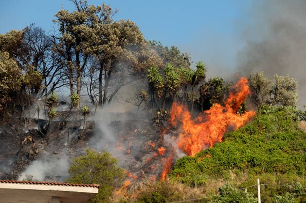 Wildfire erupts near Campi Flegrei volcanic area in Italy POZZUOLI, ITALY - JULY 13: A wildfire is seen in the Solfatara volcanic crater in the Campi Flegrei (Phlegraean Fields) volcanic region in Pozzuoli on July 13, 2026. The fire broke out in the undergrowth and quickly spread in the Pisciarelli area to several car dealerships, causing fuel tanks and tyres to explode. Eliano Imperato Anadolu Pozzuoli Italy. Editorial use only. Please get in touch for any other usage.  Copyright: x2026xAnadoluxElianoxImperatox